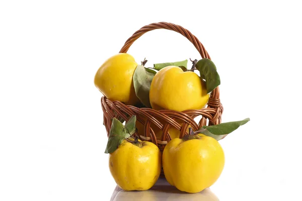 Quince in a basket — Stock Photo, Image