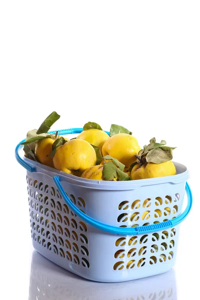 Quince in a basket — Stock Photo, Image