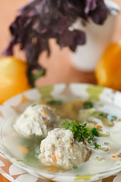 Sopa de albóndigas con verduras — Foto de Stock