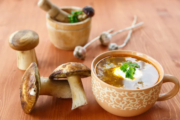 Pilzsuppe — Stockfoto