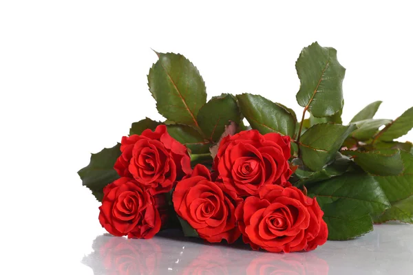 Strauß roter Rosen — Stockfoto