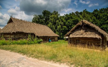 Пирогово, Украина, Киев, музей, на открытом воздухе, село, деревня, старинный, старое, реликвии, экскурсия, путешествие, ульи, пчелы