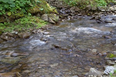 Пилипец, Шипот, водопад, Закарпатье, Украина, река, вода, музей, природа, заповедник, парк, отдых, путешествие, экскурсия