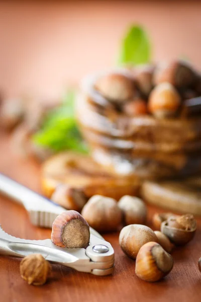 Hazelnut — Stock Photo, Image