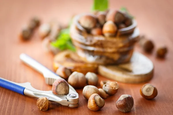 Hazelnut — Stock Photo, Image