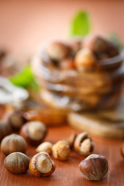 Hazelnut — Stock Photo, Image