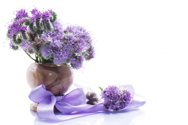 Buquê de flores com phacelia azul — Fotografia de Stock