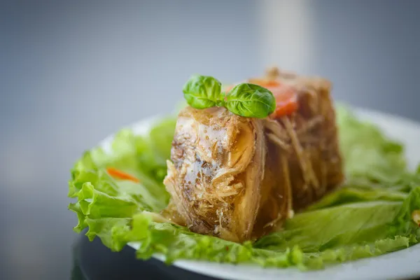 Carne aspic — Foto Stock