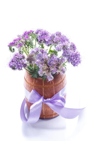 Buquê de flores com phacelia azul — Fotografia de Stock