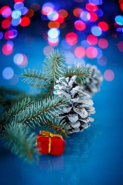 Christmas fir cones — Stock Photo, Image