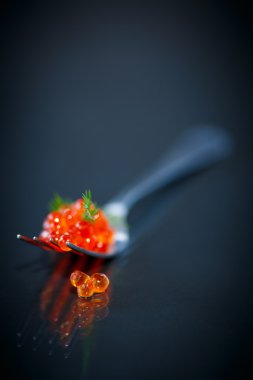 çatal üzerinde kırmızı havyar