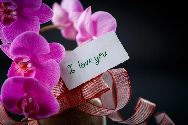 Phalaenopsis línea con una declaración de amor —  Fotos de Stock