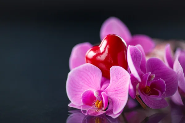 Rama falaenopsis con un corazón rojo — Foto de Stock