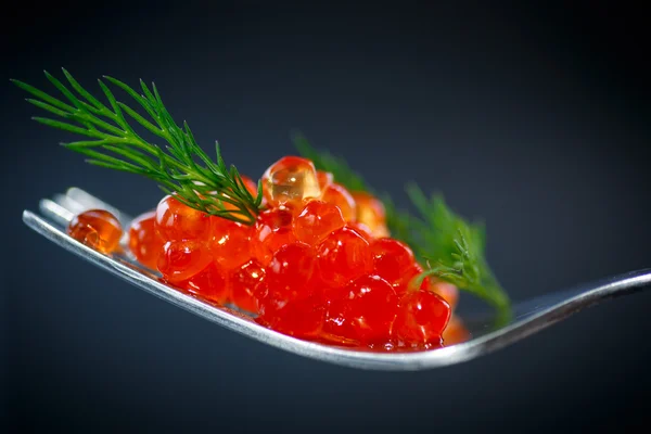 Caviar vermelho em um garfo — Fotografia de Stock