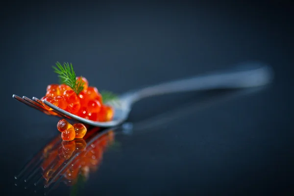 Caviar vermelho em um garfo — Fotografia de Stock