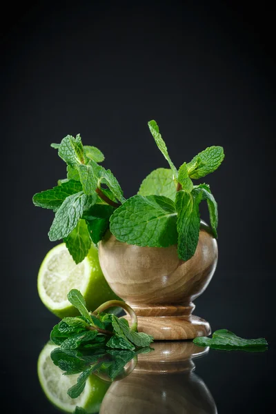Fresh bunch of mint and lime — Stock Photo, Image