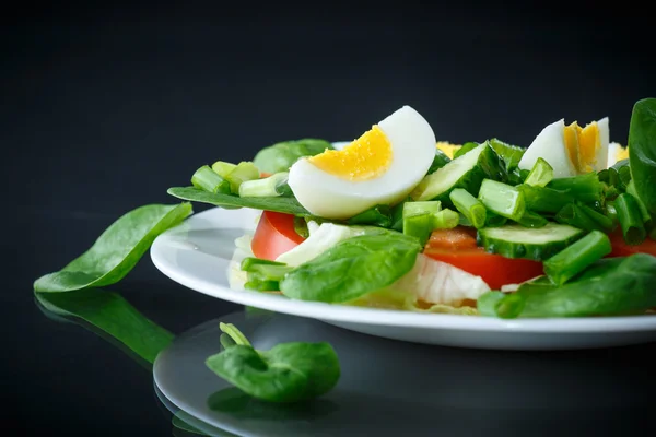 Ensalada de verano con huevo — Foto de Stock