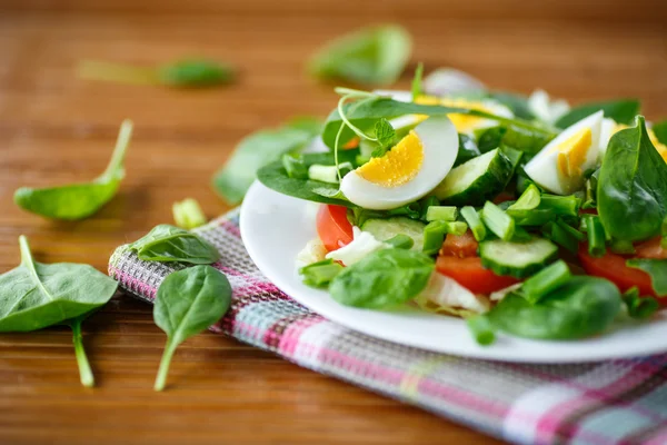 Insalata estiva con uovo — Foto Stock