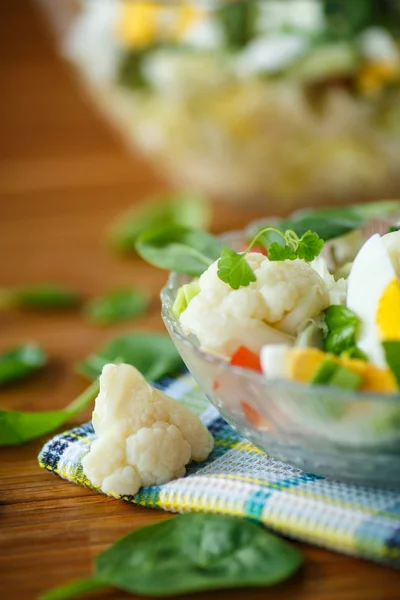 Sommer-Diät-Salat mit Blumenkohl — Stockfoto
