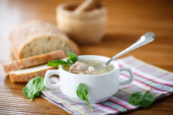 Zuppa con carne e tagliatelle — Foto Stock