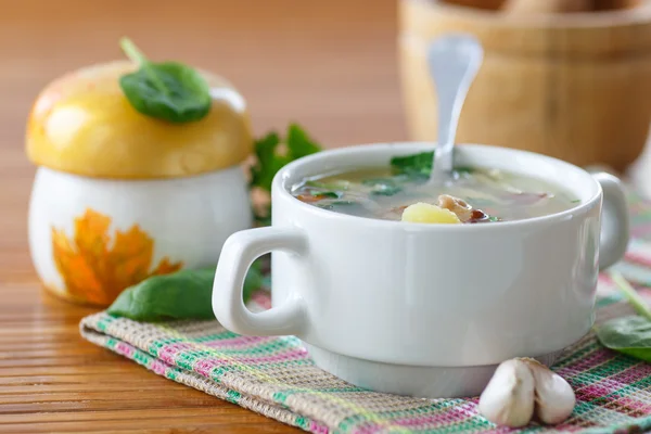 Suppe mit Pilzen — Stockfoto