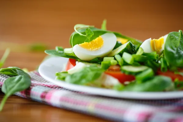 Salad musim panas dengan telur Stok Foto