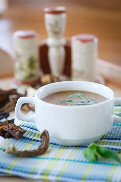 Sopa de setas — Foto de Stock