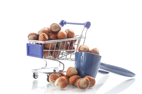 Hazelnut — Stock Photo, Image