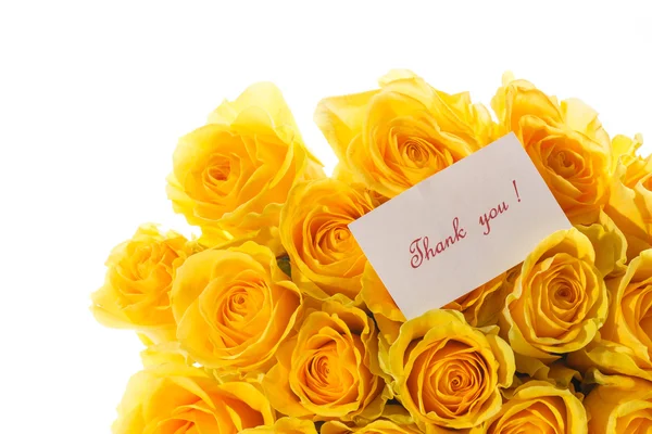 Beautiful yellow rose — Stock Photo, Image