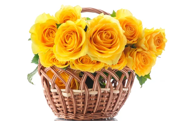 Beautiful yellow rose — Stock Photo, Image