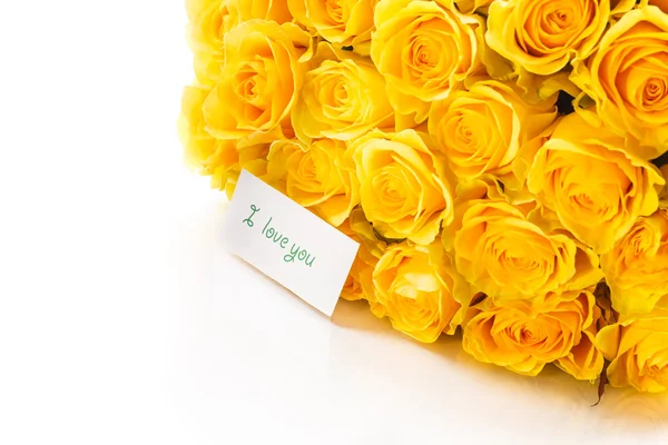 Vacker gul ros — Stockfoto