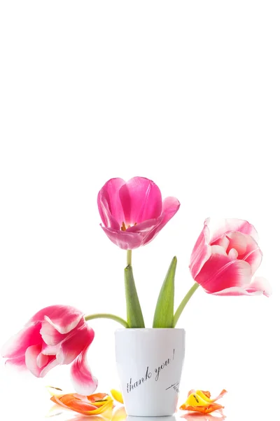 Beautiful tulips in a vase with gratitude — Stock Photo, Image