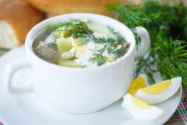 Sopa de acedera — Foto de Stock