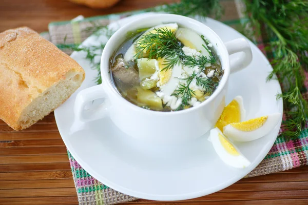 Sopa de acedera — Foto de Stock