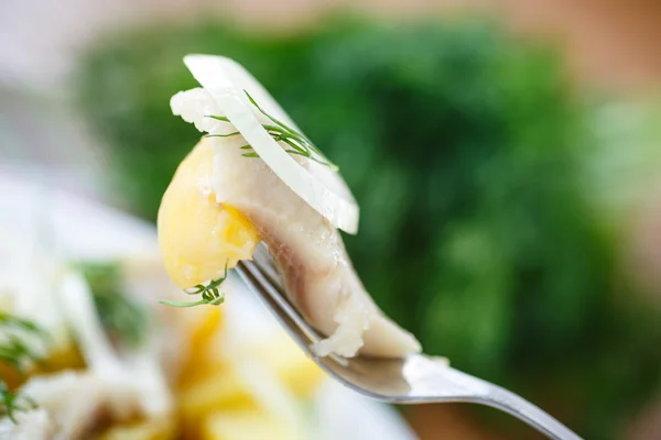 ゆでたジャガイモと塩漬けのニシン — ストック写真