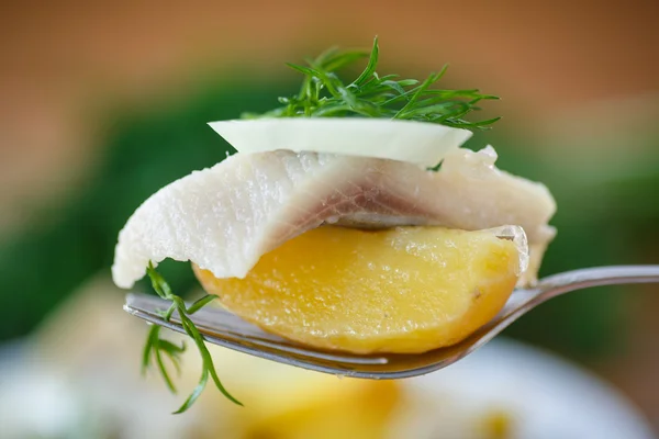 Salted herring with boiled potatoes — Stock Photo, Image