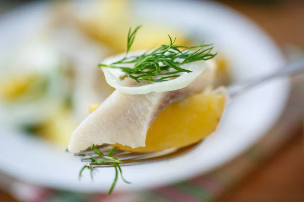 Solených sleďů s vařenými brambory — Stock fotografie