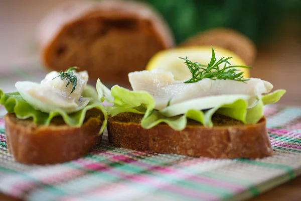 Sandwich salted herring and lettuce — Stock Photo, Image