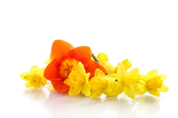 Buquê de narcisos amarelos com pequenas tulipas — Fotografia de Stock