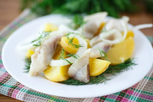 Salted herring with boiled potatoes — Stock Image Salted herring with boiled potatoes Stock Picture