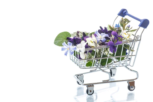 Beautiful bouquet of spring flowers — Stock Photo, Image