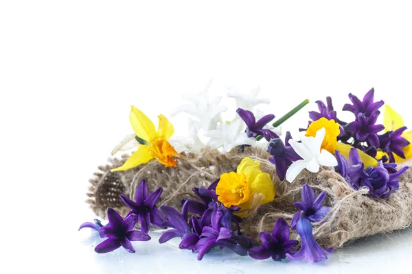 Hyacinth and daffodils — Stock Photo, Image