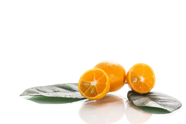 Kumquat — Stock Photo, Image