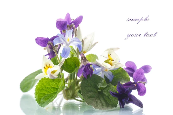 Beautiful bouquet of spring flowers — Stock Photo, Image