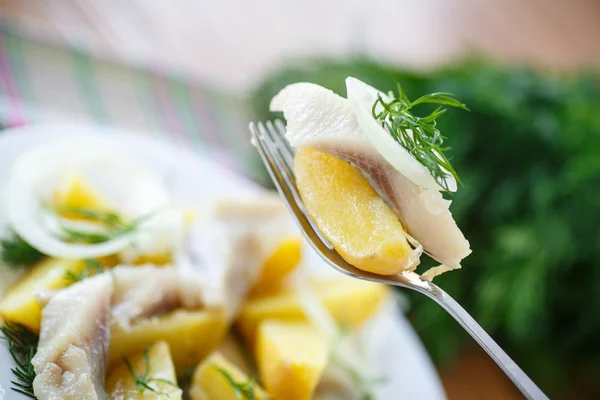 Gezouten haring met gekookte aardappelen — Stockfoto