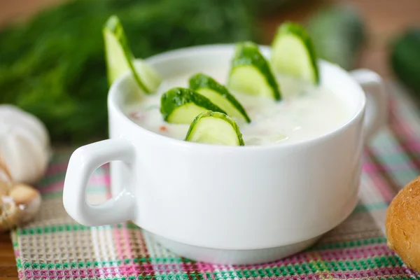 Sopa de pepino — Fotografia de Stock