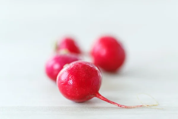 Radish — Stock Photo, Image