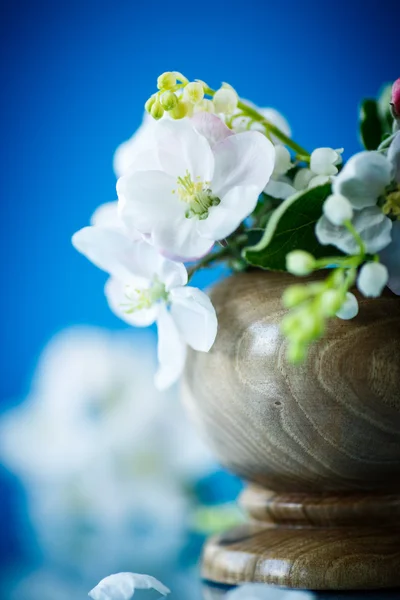 谷のユリと apple の花の春の花束 — ストック写真