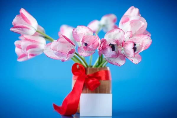 Prachtig boeket van lente tulpen Stockfoto