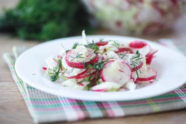 Insalata di primavera con ravanelli — Foto Stock